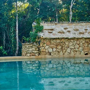 https://villa-agua-y-fuego.allrivieramayahotels.com